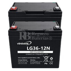2 Baterias Silla Movilidad LG36-12N  | GEL 12 Voltios 36 Amperios VT